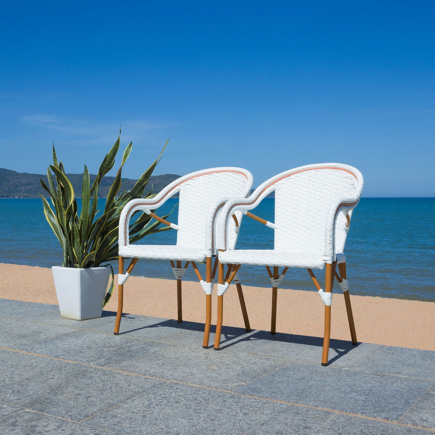 SAFAVIEH Doreth Arm Chair (Set of 2) - 23Wx36Dx25H