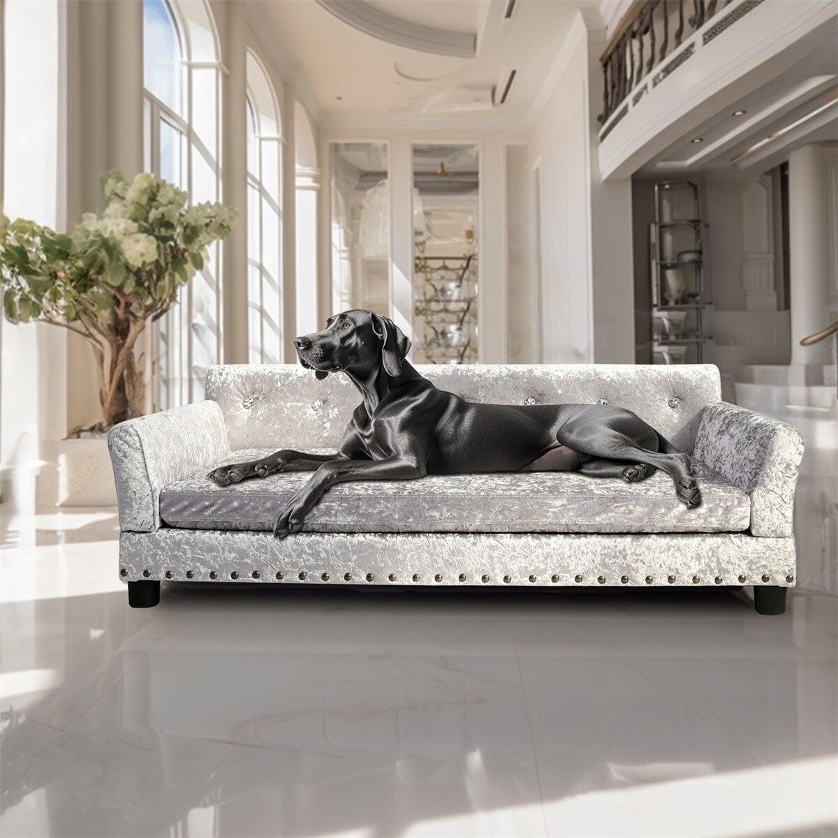 Velvet Tufted Couch Pet Bed Upholstered with Removable Cushion
