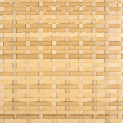 SAFAVIEH Outdoor Taniyah Wicker Daybed with Pillow & Cushions - 53W x 28D x 62H